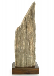 Versteinertes Holz mit Holzsockel, ca. 5,2 Kg