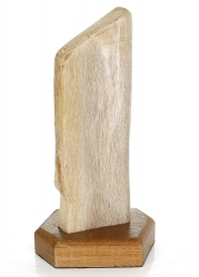 Versteinertes Holz mit Holzsockel, ca. 18 cm, Poliert, Unikat