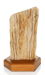 Versteinertes Holz mit Holzsockel, ca. 19 cm