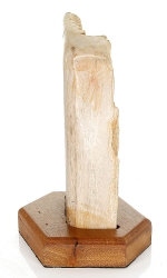 Versteinertes Holz mit Holzsockel, ca. 19 cm