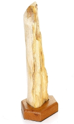 Versteinertes Holz mit Holzsockel, ca. 22 cm