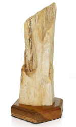 Versteinertes Holz mit Holzsockel, ca. 22 cm