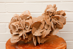 Sandrose XL, ca. 8,6 kg Wüstenrose, Unikat, ausgeprägte Rosen