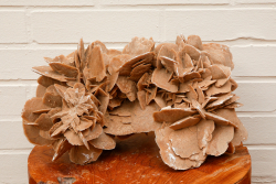 Sandrose XL, ca. 8,6 kg Wüstenrose, Unikat, ausgeprägte Rosen