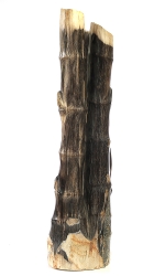 Versteinertes Holz ,Bambusform komplett poliert, ca. 10,6 Kg, ca. 55 cm hoch, Unikat