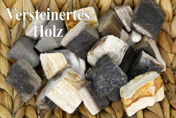 Versteinertes Holz Rohstein, ca. 3-4 cm, ca. 100 gramm, A-Qualität